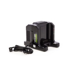 GC420 CARGADOR DOBLE 82V GREENWORKS