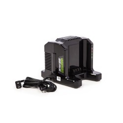 GC420 CARGADOR DOBLE 82V GREENWORKS