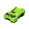 2903102 CARGADOR 24V GREENWORKS